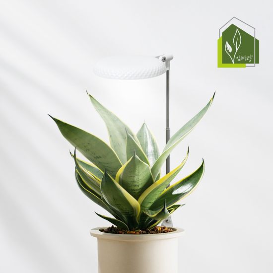 노바리빙 LED 식물등 다육이