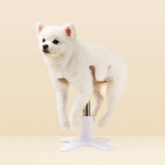 샘슨살롱 강아지 미용 의자 거치대 애견 셀프미용