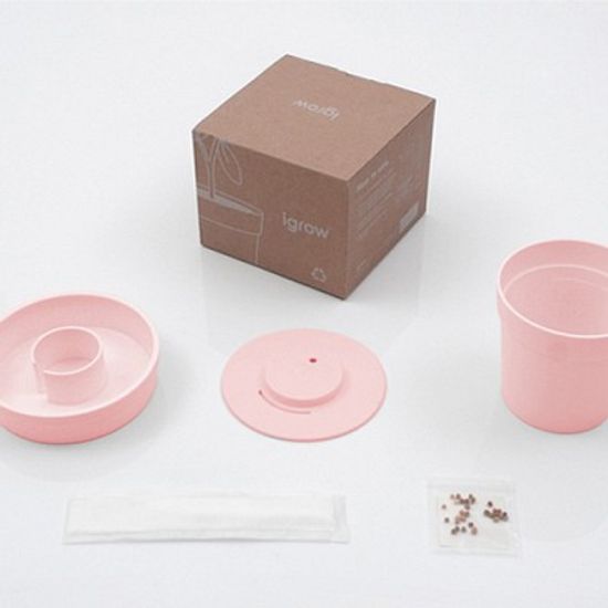 아이그루 셀프워터링 데스크팟 (핑크)