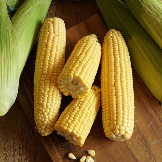 달콤고소한 국내산 초당옥수수 10개 (특품/15cm이상)