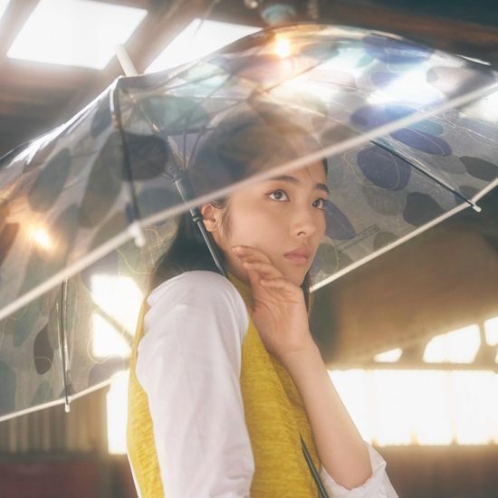 wpc우산 패턴 오래쓰는 투명우산 UPT-001