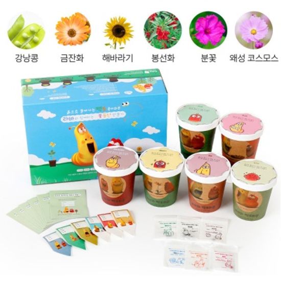 학습용 관찰용 식물키우기 텃밭키우기 6종세트
