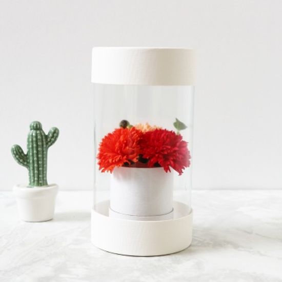 어버이날 카네이션 케익 용돈박스