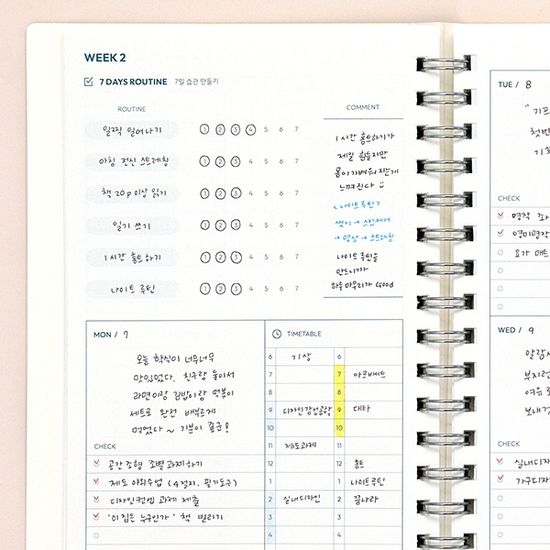 기본 대학일지 (대학생플래너,6개월,주간)