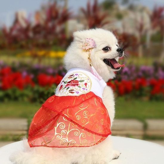 설날 추석 명절 강아지 고양이 애견한복 저고리 치마