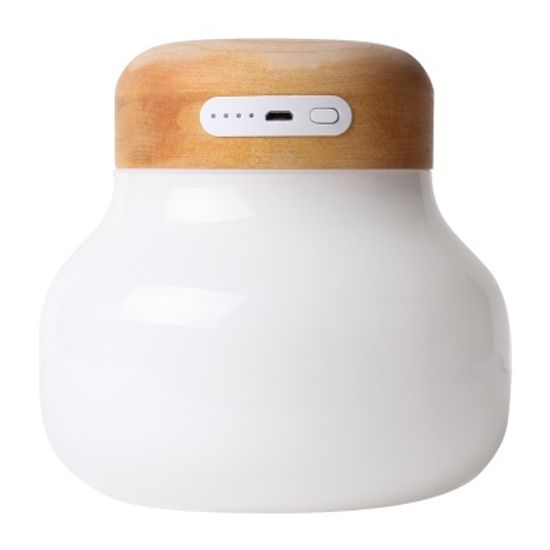 [MFi애플인증]고사리머쉬룸램프 ML5000(무선사용가능)