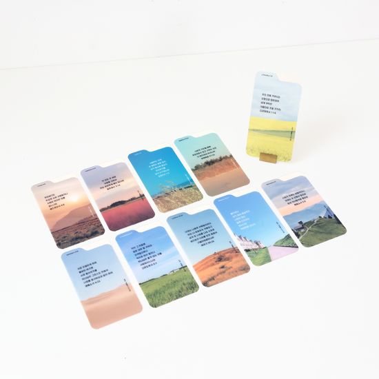 그레이스벨 피스비 북마크 03.그라운드(10개입)