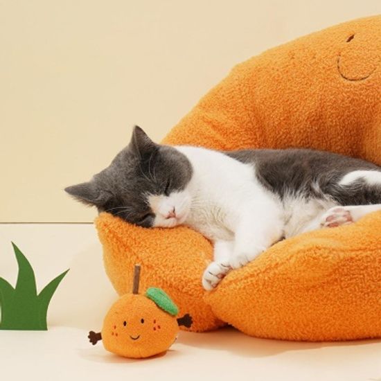 애견 강아지 고양이 한라봉 선인장 펫 방석 쿠션