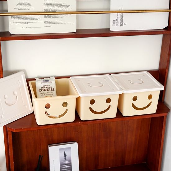 보노하우스 모던 미니 해피박스 1P 수납 정리함