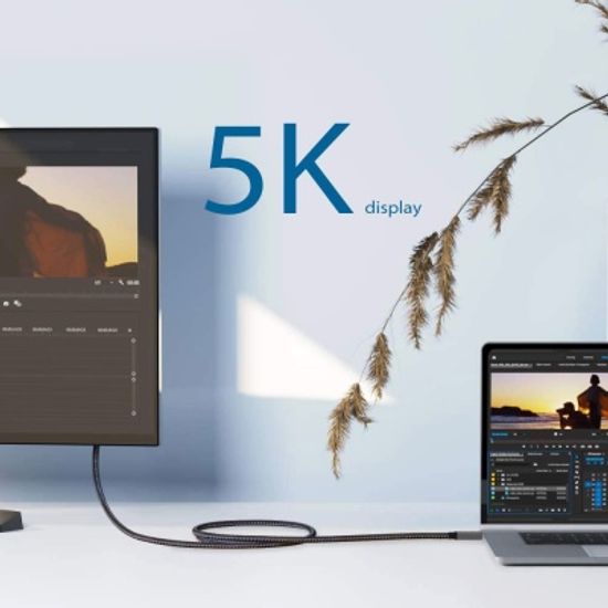 웨이크T3 C TO C 썬더볼트3 고속충전 케이블 100W 1M