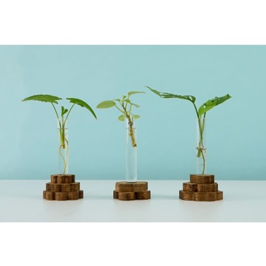 스택베이스 우드 오브제 수경 화병