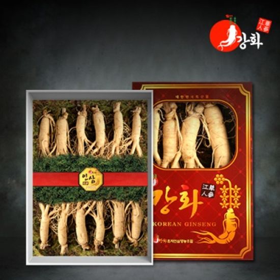 [강화초지인삼] 명품 수삼 1채 500g (8-10뿌리)