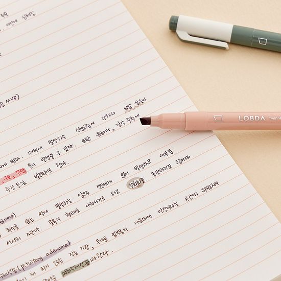 [롭다] 트윈형광펜/5색