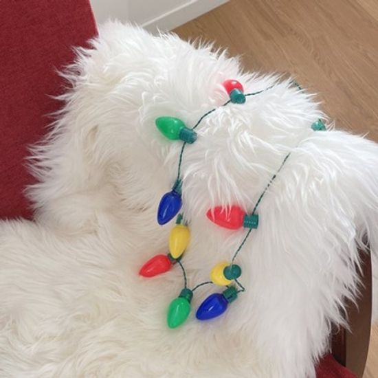LED Bulb Party Necklace LED전구목걸이