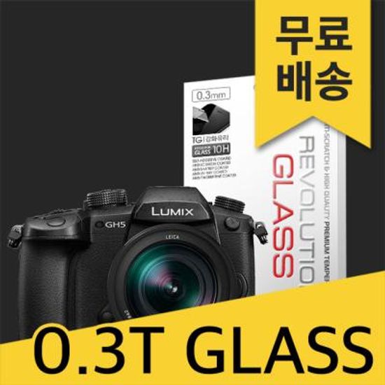 (2매)레볼루션글라스 0.3T 강화유리 루믹스 DG-GH5