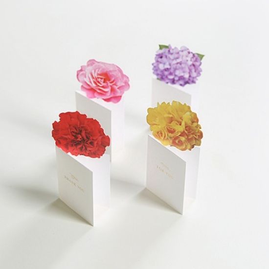 SEASON 플라워팝 카드 S