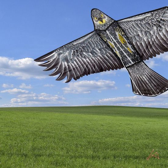 대형 독수리연 전통 연날리기 세트(WF404EF)