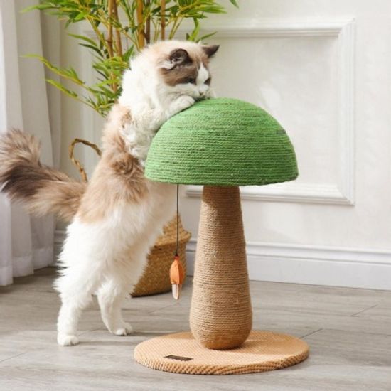 FAFA 미니 머쉬룸 고양이 발톱관리 스크래쳐 버섯기둥