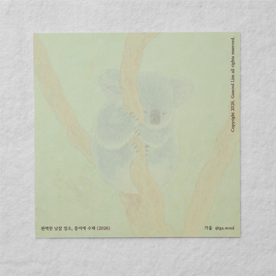 [수채 동물 카드] 코알라 ‘완벽한 낮잠 장소’