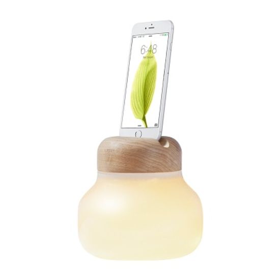 [MFi애플인증]고사리머쉬룸램프 ML5000(무선사용가능)