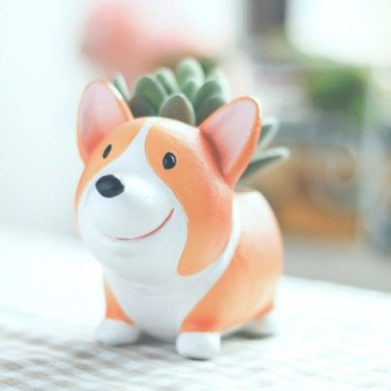 ROOGO 루고 다육이 화분 산책가자 코기