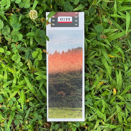 SUMMER JEJU BOOKMARK 여름 제주 북마크 책갈피