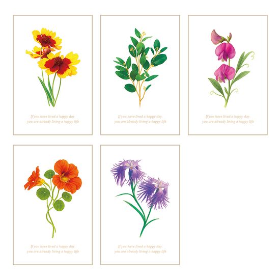 풀꽃일기 감사카드