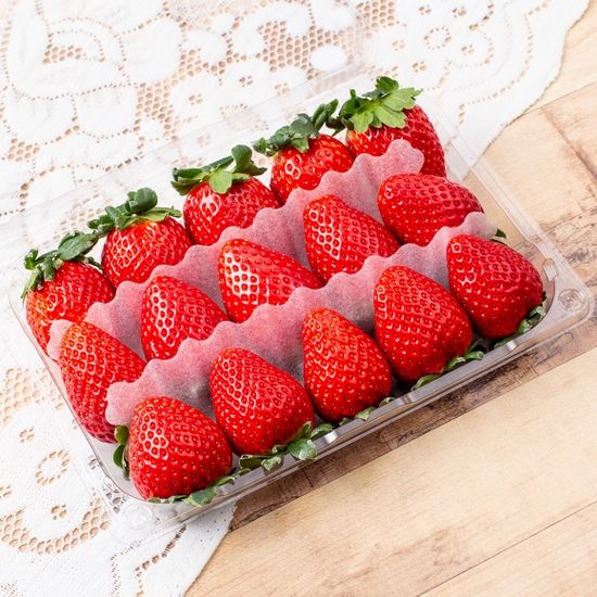 [자연예서] 죽향 딸기 2kg (특)