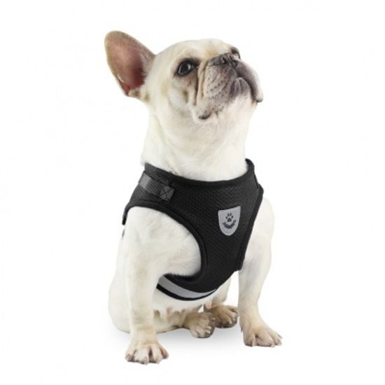 세이프 빛반사 강아지 하네스+리드줄(M) 강아지가슴줄