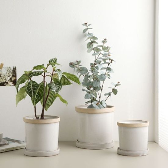 스톤 도자기 화분 (대)