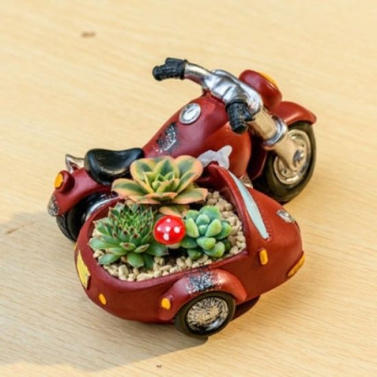 ROOGO 루고 다육이 화분 떠나요 삼토바이