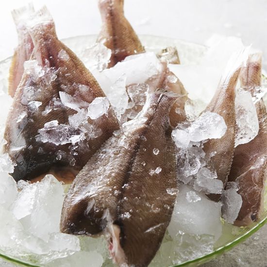 [가락마켓] 국내산 반건조 참 가자미(6~10마리)