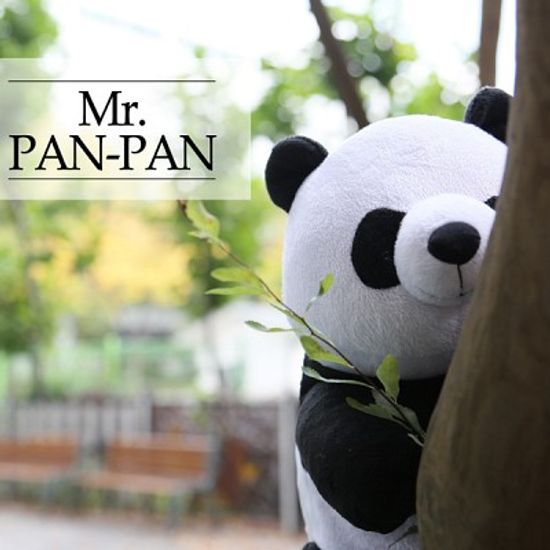 판다안마인형 미스터판판 Mr.PAN-PAN