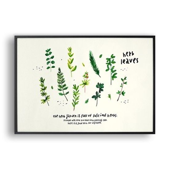 Herb leaves / 일러스트 액자