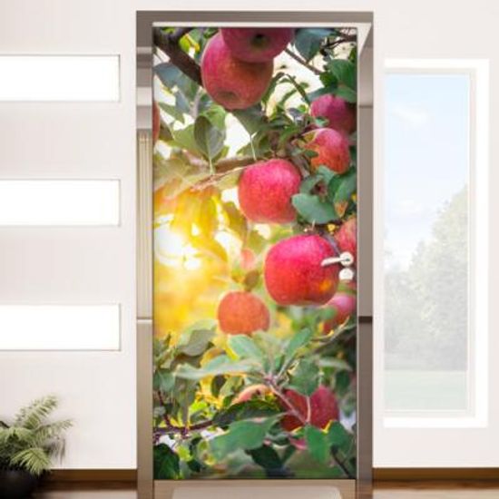 ij869-사과나무_현관문시트지