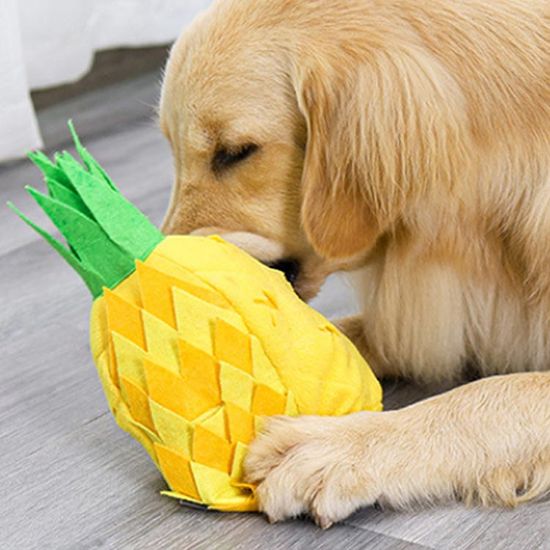 파인애플 노즈워크 간식 분리불안 훈련용품