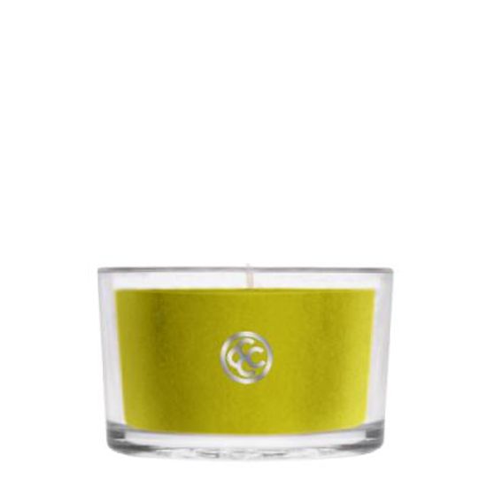 COLONIAL CANDLE 2851글래스 티라이트 캔들 사바나 모스