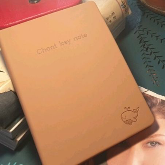 치트키 노트 다이어리 목표쓰기 100일 100번  확언