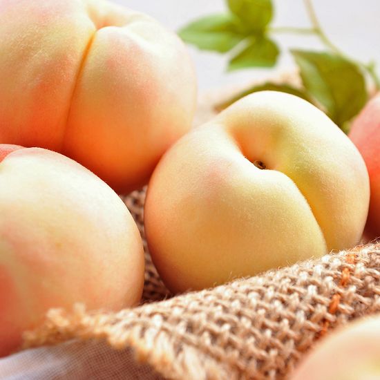 [자연예서] 천중도 백도 복숭아 4kg (19-20과) (소)