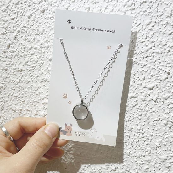 반려동물 강아지 털 목걸이 고양이 털 수염 보관함