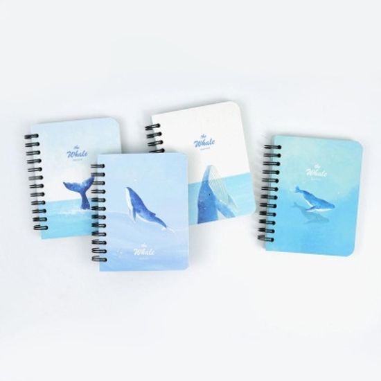 핑크풋 고래합지수첩