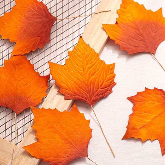 플라타너스잎 1P (대)