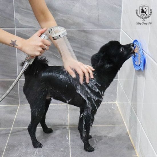 [딩동펫]실리콘 흡착형 목욕도우미!애견식기