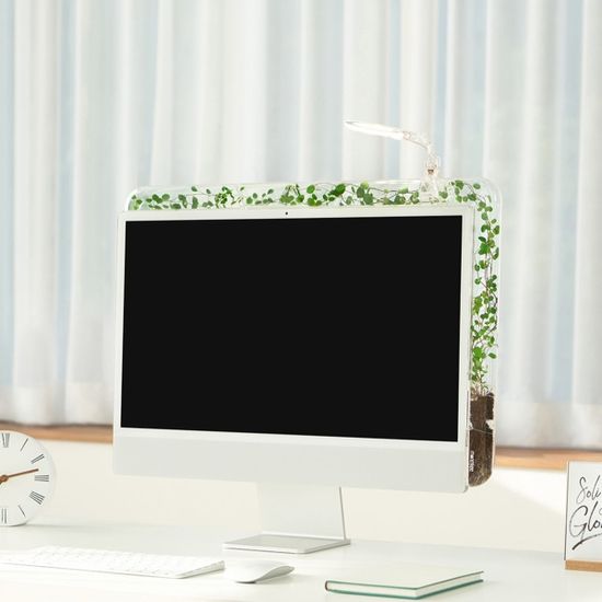 Single 모니트리+식물 조명 -모니터 타고 자라는 식물