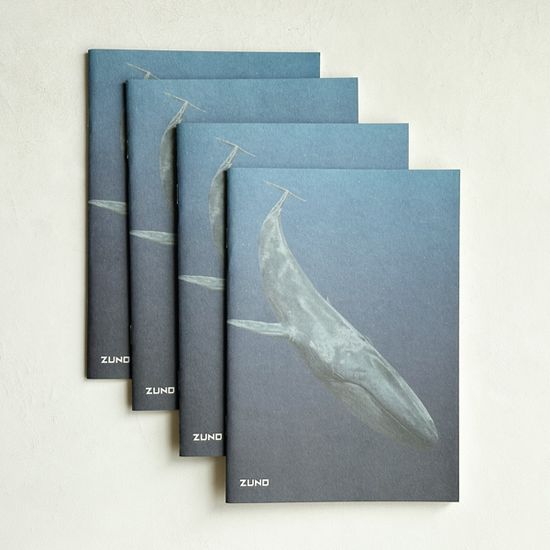 [3+1] 쥬노 신학기 디자인 노트_대왕고래