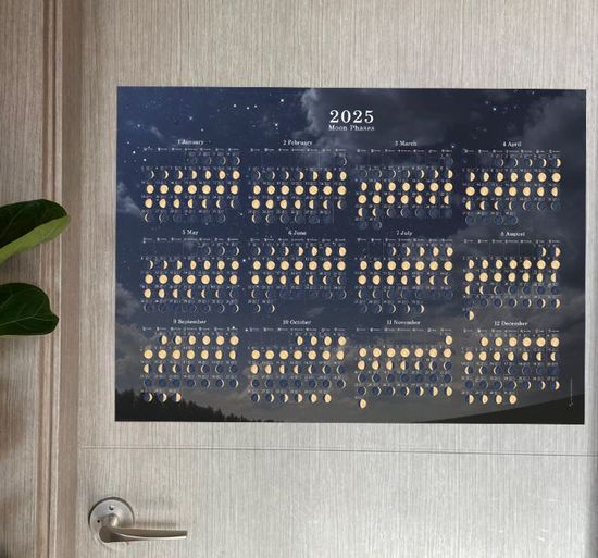 2025 달관찰 포스터 (가로형)