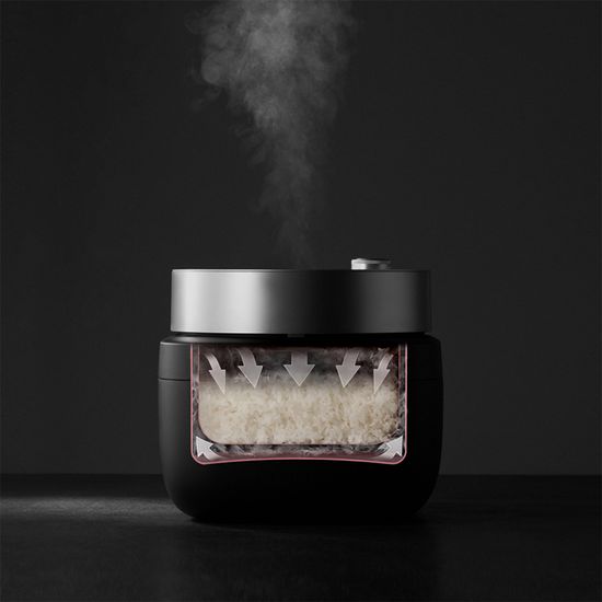 [공식수입원] 발뮤다 더 고항