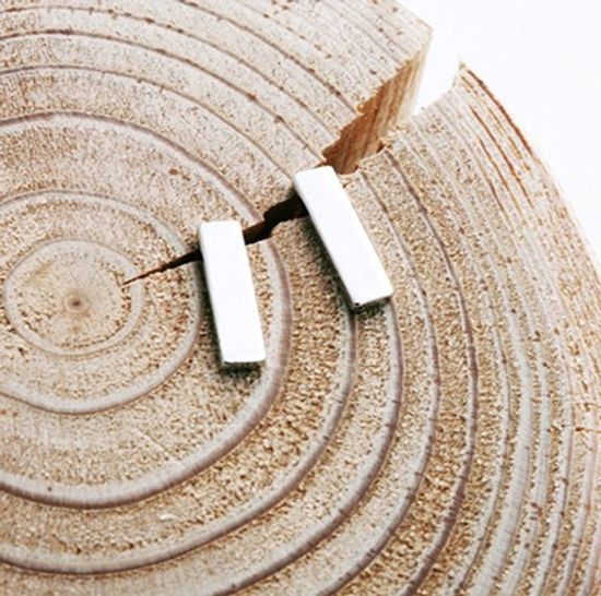 YL-sm stick  earring