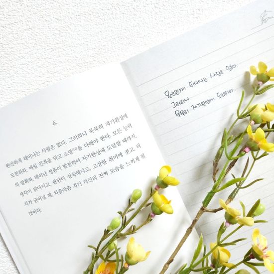 세상을 보는 지혜 필사 노트