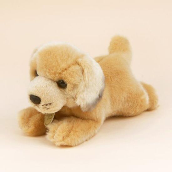 MIYONI 미요니 골든 리트리버 강아지 인형 19cm